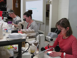 Students using microscopes in a lab setting